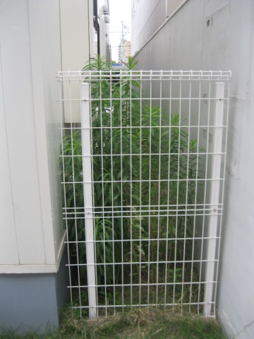 中古車販売 中古車買取 アップル