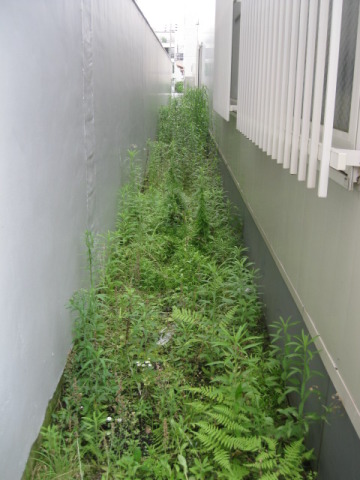 中古車販売 中古車買取 アップル