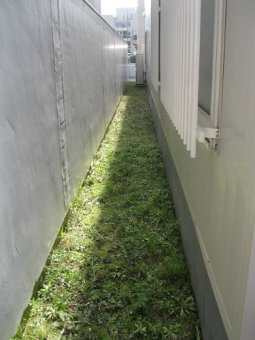 中古車販売 中古車買取 アップル