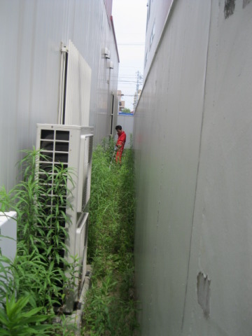 中古車販売 中古車買取 アップル