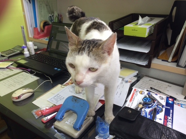 中古車販売 中古車買取 アップル