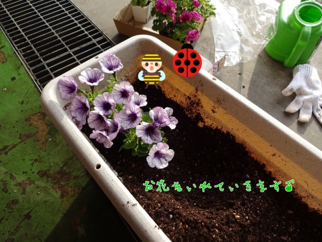 中古車販売 中古車買取 アップル