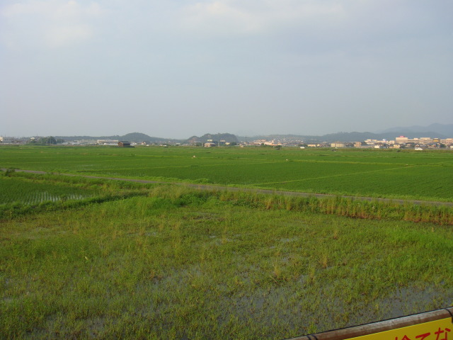 中古車販売 中古車買取 アップル