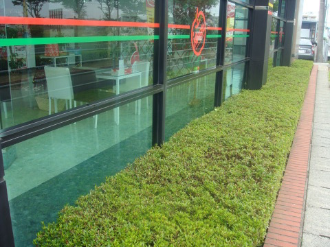 中古車販売 中古車買取 アップル