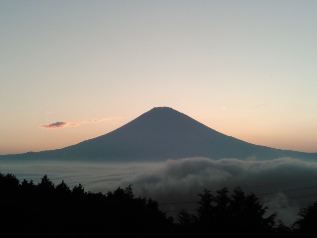 中古車販売 中古車買取 アップル