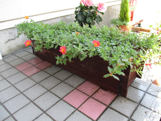 中古車販売 中古車買取 アップル