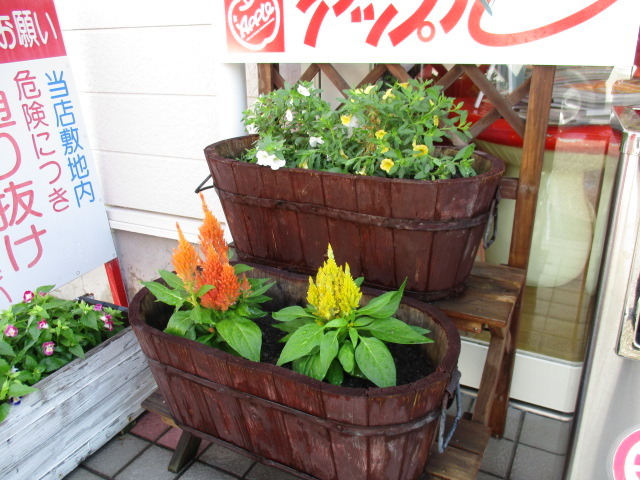 中古車販売 中古車買取 アップル