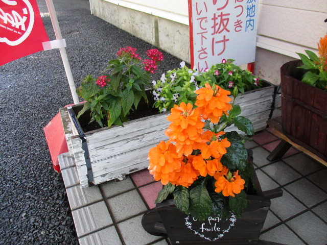 中古車販売 中古車買取 アップル