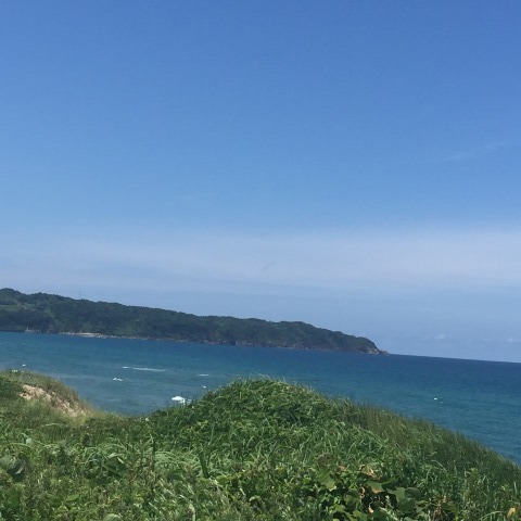 中古車販売 中古車買取 アップル