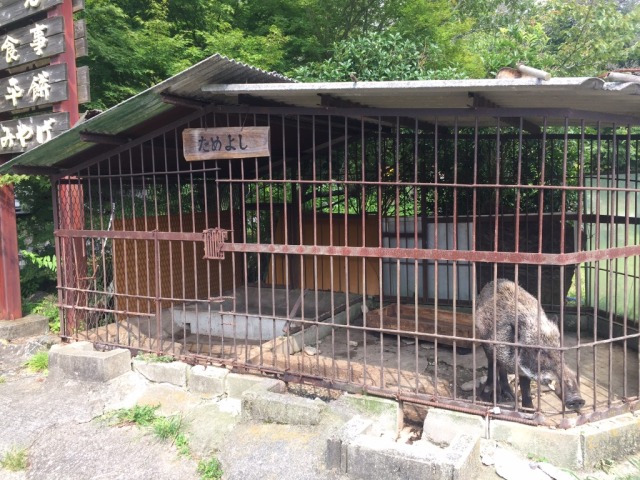 中古車販売 中古車買取 アップル