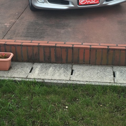 中古車販売 中古車買取 アップル