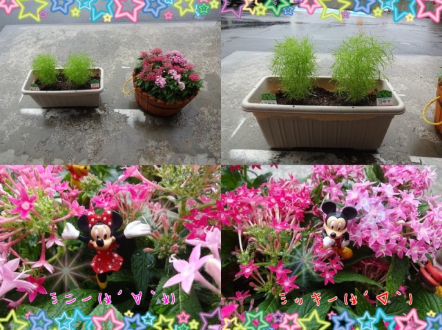 中古車販売 中古車買取 アップル