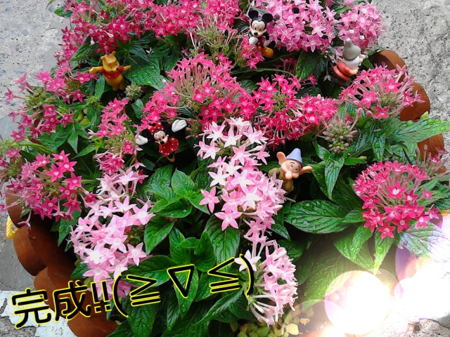 中古車販売 中古車買取 アップル