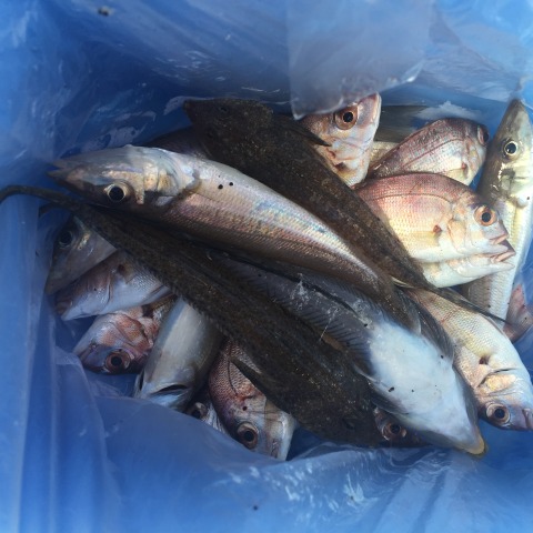 中古車販売 中古車買取 アップル