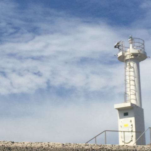 中古車販売 中古車買取 アップル