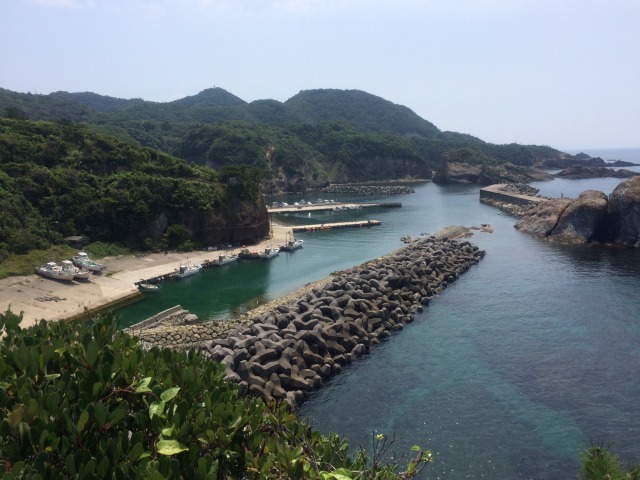 中古車販売 中古車買取 アップル