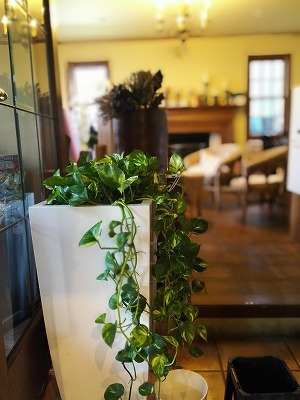 中古車販売 中古車買取 アップル