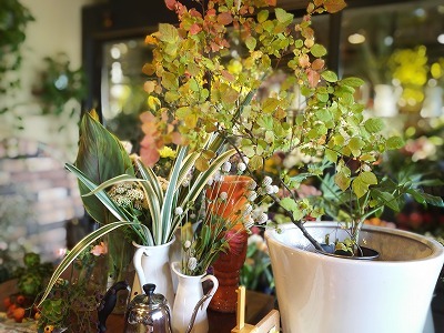 中古車販売 中古車買取 アップル