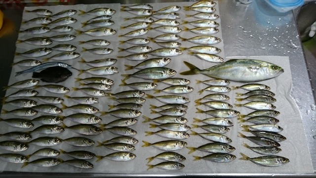 中古車販売 中古車買取 アップル