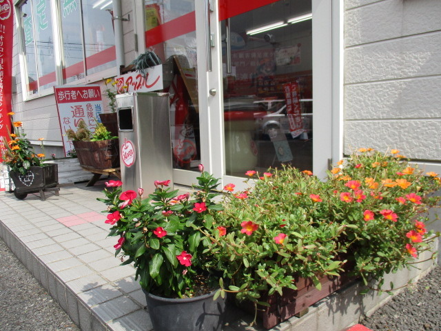 中古車販売 中古車買取 アップル