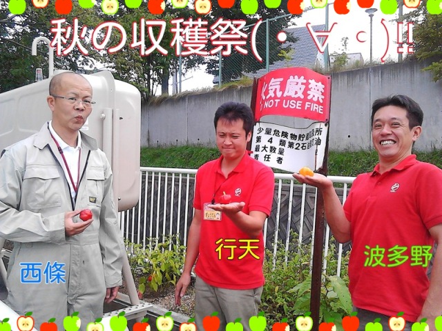 中古車販売 中古車買取 アップル