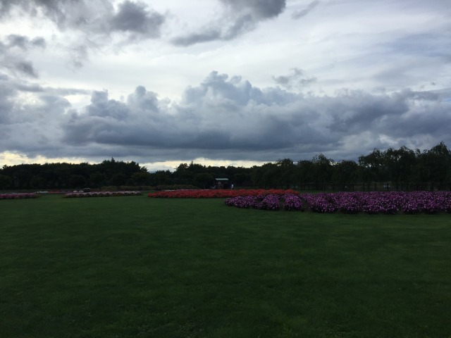 中古車販売 中古車買取 アップル