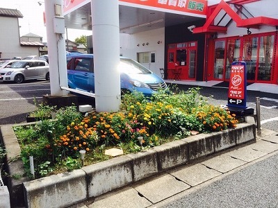 中古車販売 中古車買取 アップル