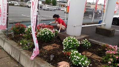 中古車販売 中古車買取 アップル