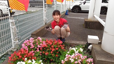 中古車販売 中古車買取 アップル