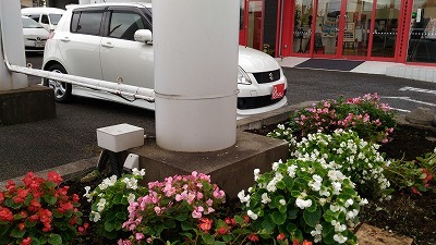 中古車販売 中古車買取 アップル