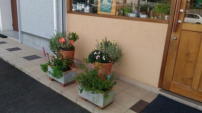 中古車販売 中古車買取 アップル