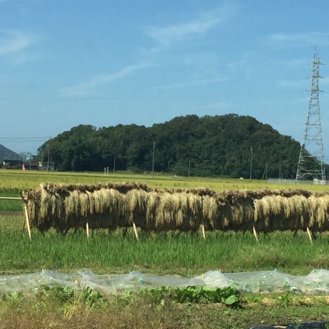 中古車販売 中古車買取 アップル