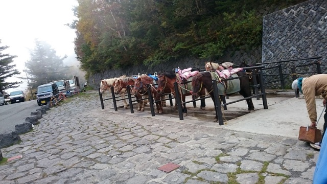 中古車販売 中古車買取 アップル