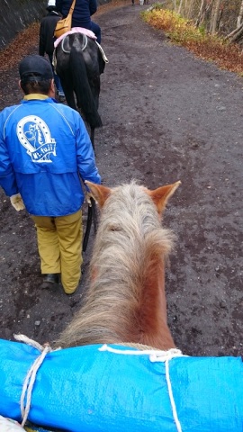 中古車販売 中古車買取 アップル