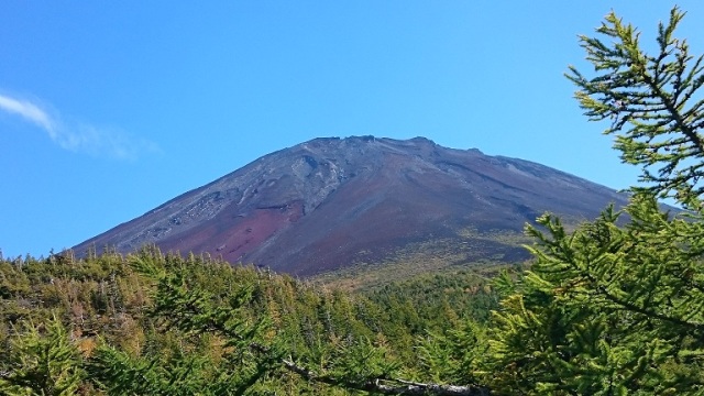 中古車販売 中古車買取 アップル