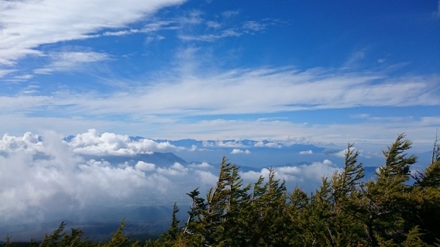 中古車販売 中古車買取 アップル