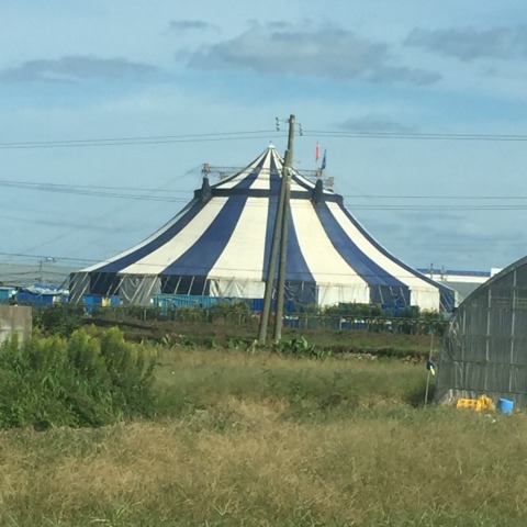 中古車販売 中古車買取 アップル