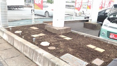 中古車販売 中古車買取 アップル