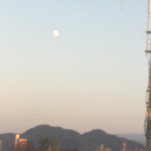 中古車販売 中古車買取 アップル