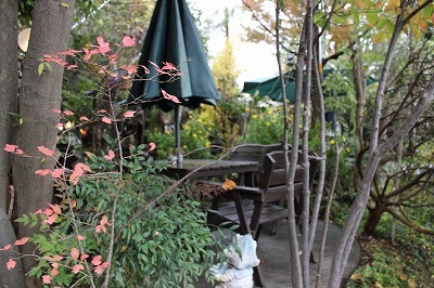 中古車販売 中古車買取 アップル