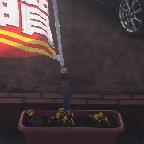 中古車販売 中古車買取 アップル