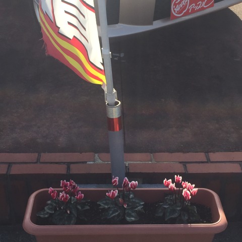 中古車販売 中古車買取 アップル