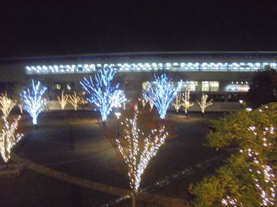 中古車販売 中古車買取 アップル