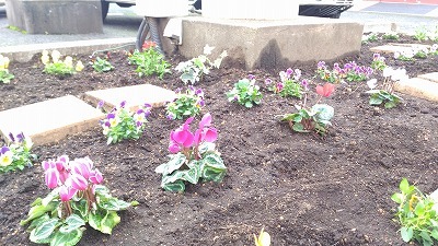 中古車販売 中古車買取 アップル