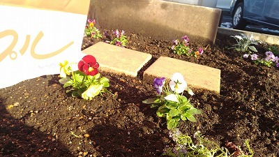 中古車販売 中古車買取 アップル