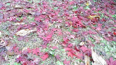 中古車販売 中古車買取 アップル