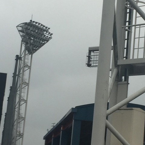 中古車販売 中古車買取 アップル