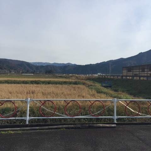 中古車販売 中古車買取 アップル