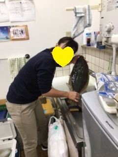 中古車販売 中古車買取 アップル