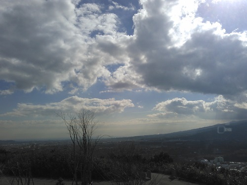 中古車販売 中古車買取 アップル